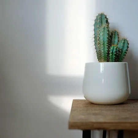 Unique Studio Loft W Sercu Krakowa Krakkó